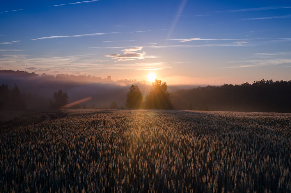 Photograph by Юрий Сушков