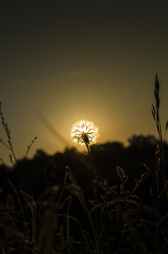 Photograph by Юрий Сушков