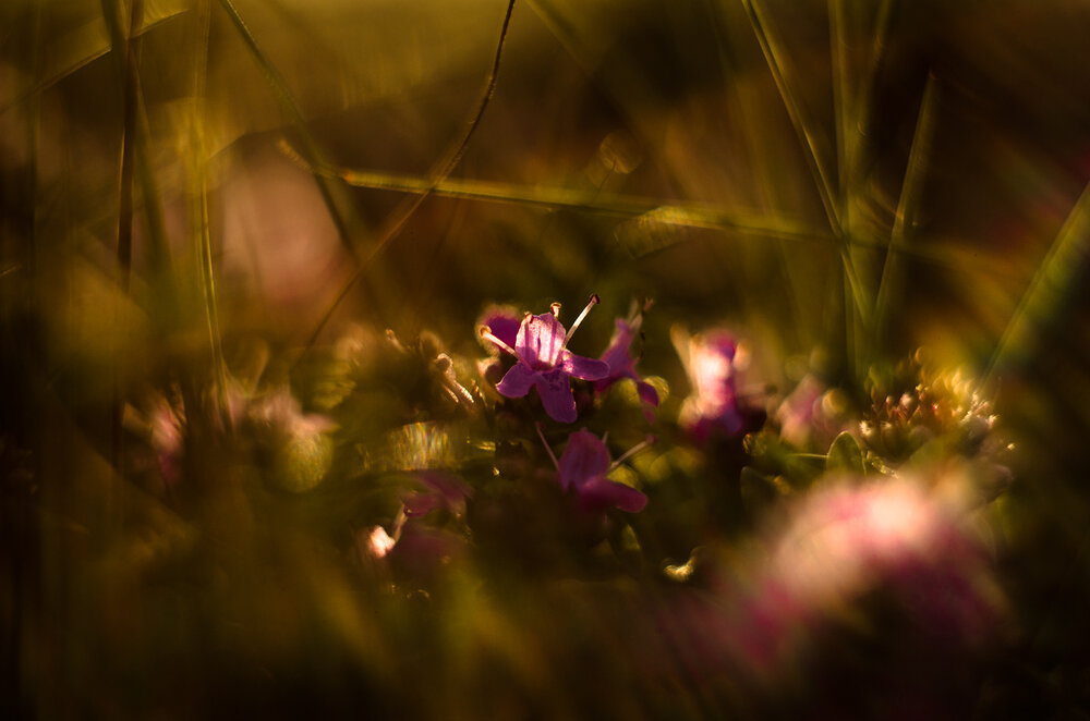 Photograph by Юрий Сушков