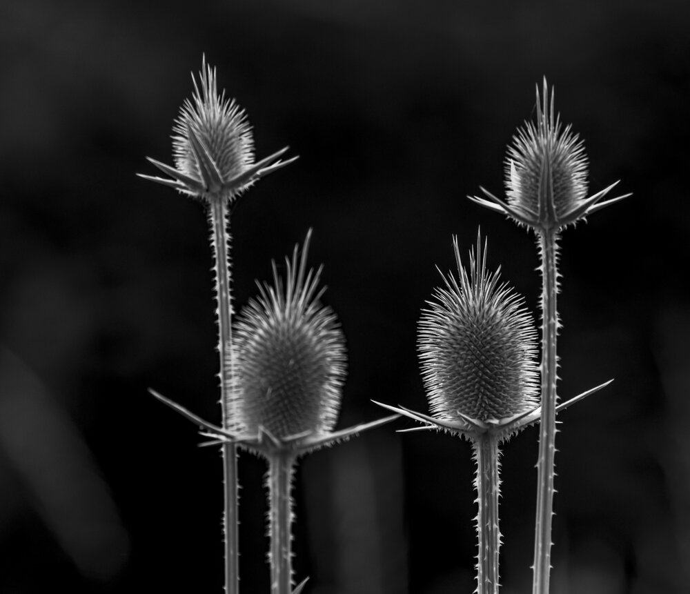 Photograph by Vitalii Kaznin