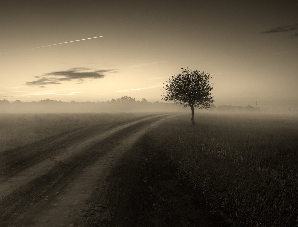 Photograph by Юрий