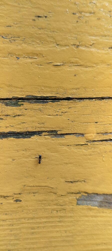 Photo #13840117