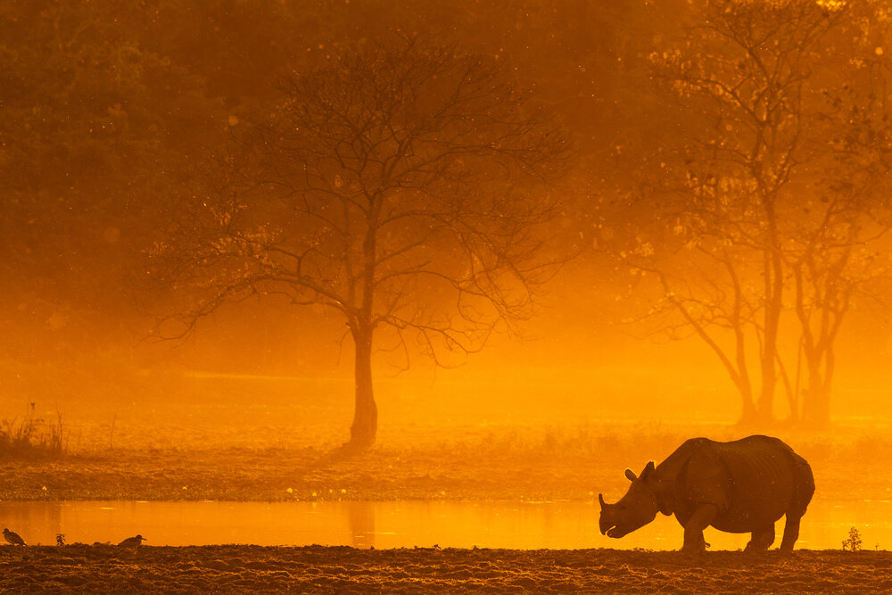 Photograph by Bagaria Abhisek