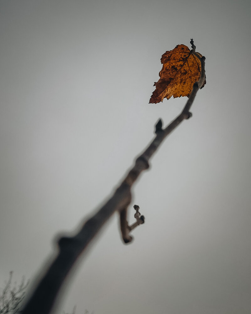 Photograph by Биденко Анастасия