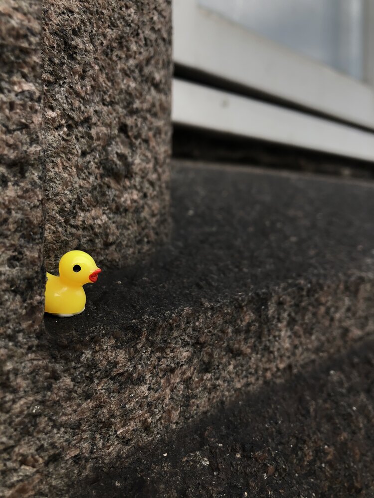 Photograph by Valentina Jegorova