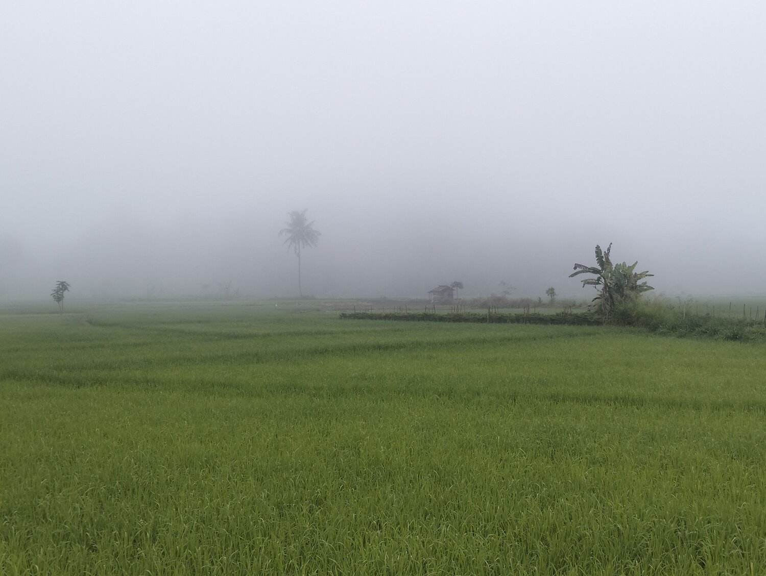 Photo #13840250