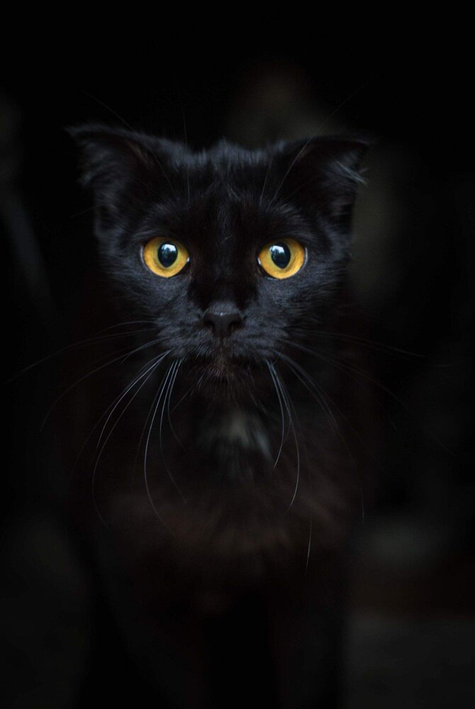 Photograph by Евгения Бурлуцкая