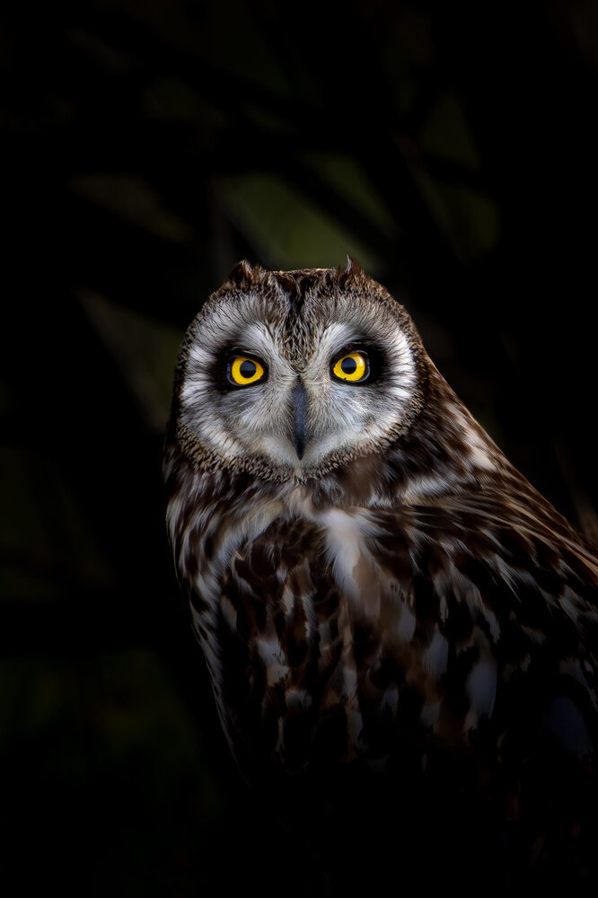Photograph by Шульгин Вадим