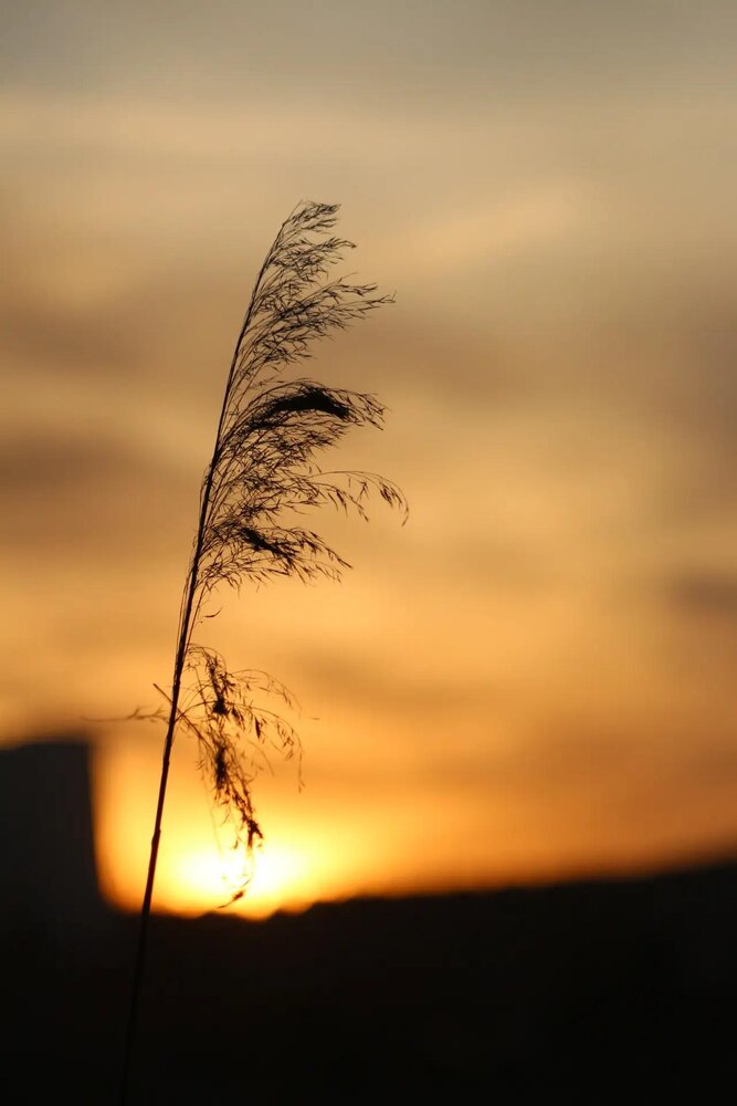 Photograph by Meline Mikoyan