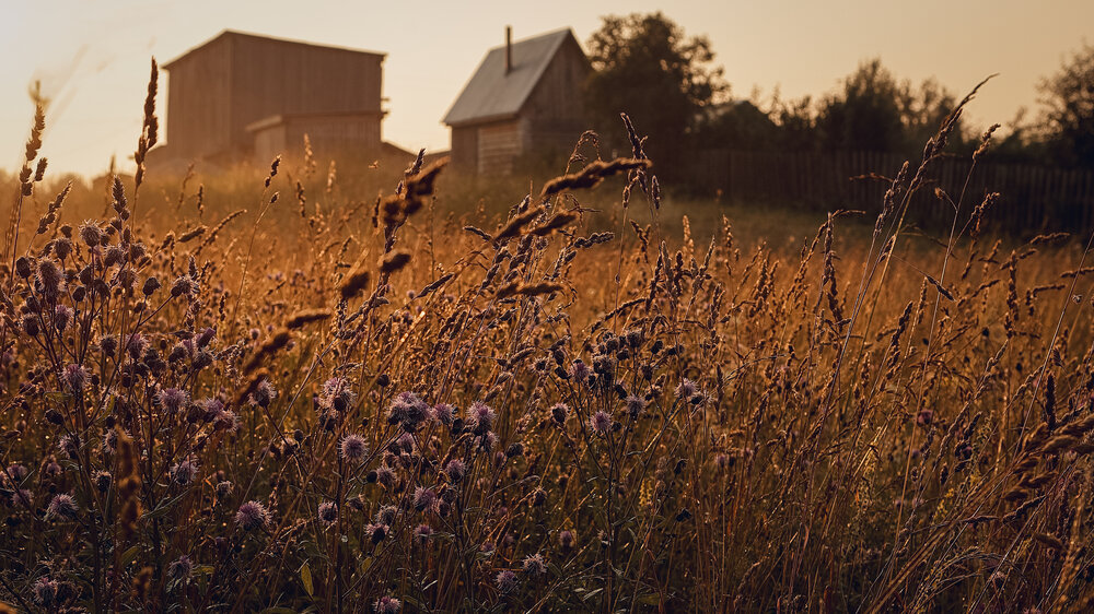 Photograph by Айдар Ибрагимов