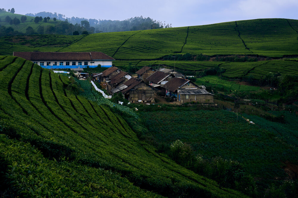 Photograph by rezar