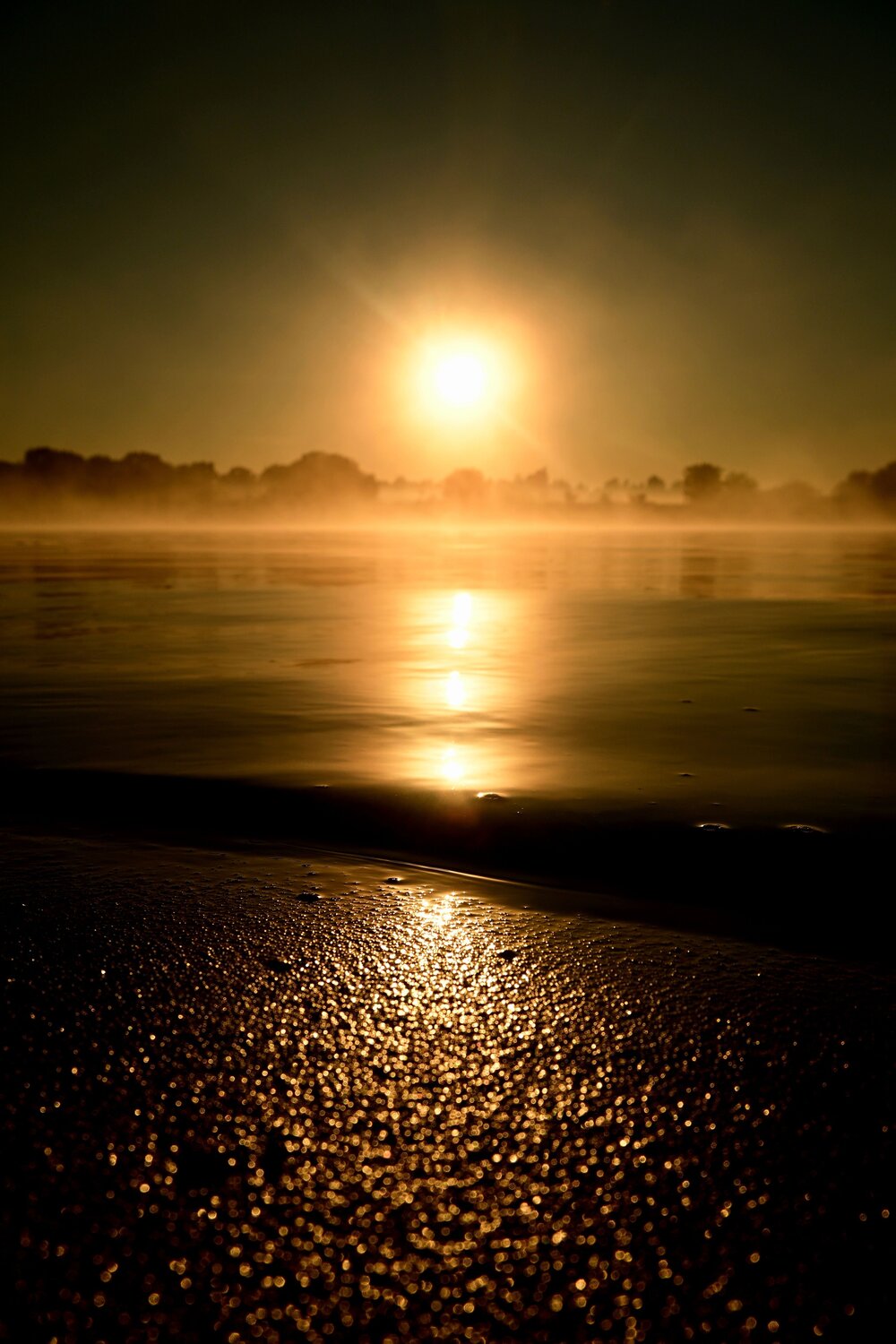 Photo #13840404