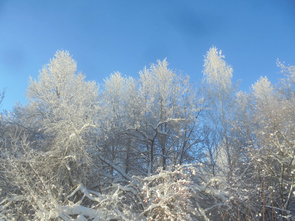 Photo #13840431
