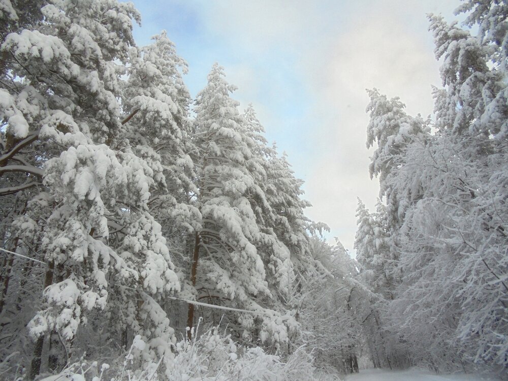 Photo #13840434