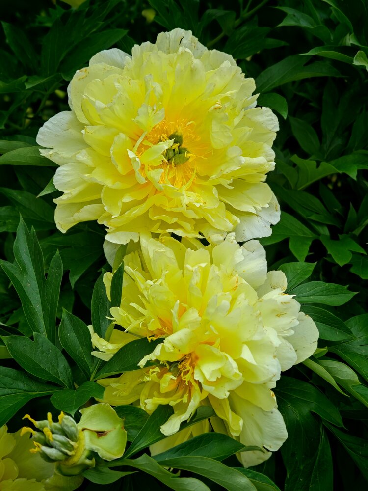 Photograph by Ольга Кузнецова