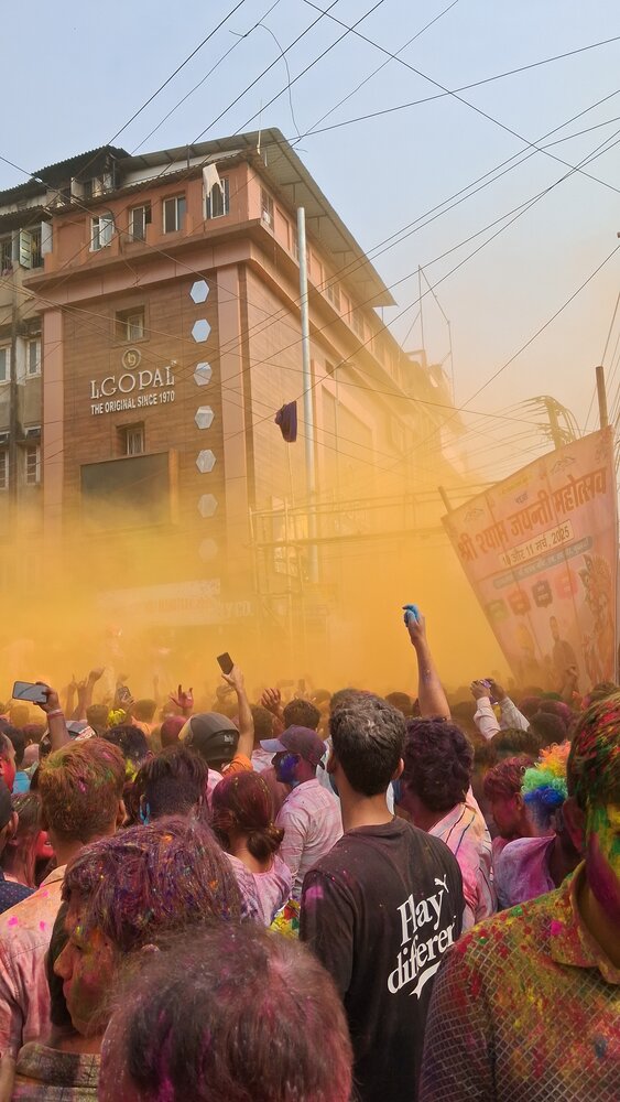 Yellow Euphoria