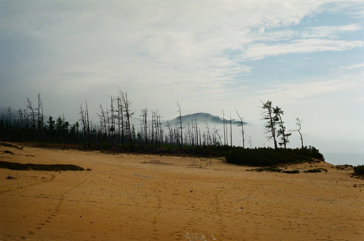 Photo #13840515