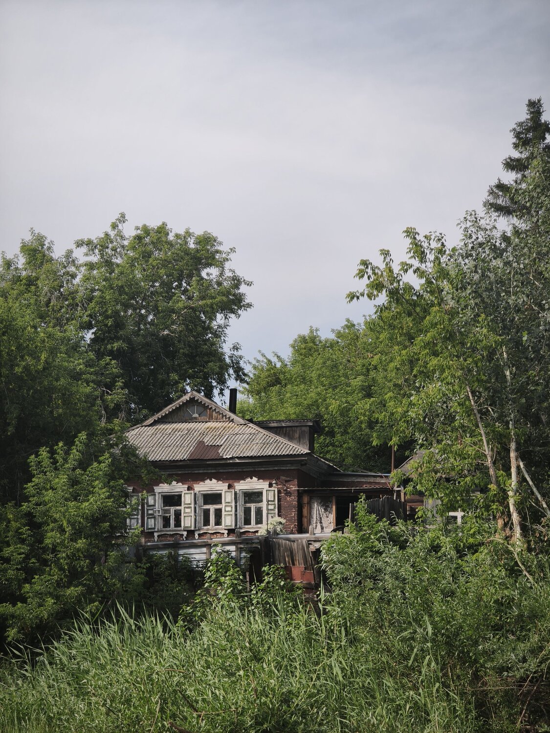 Photo #13840529