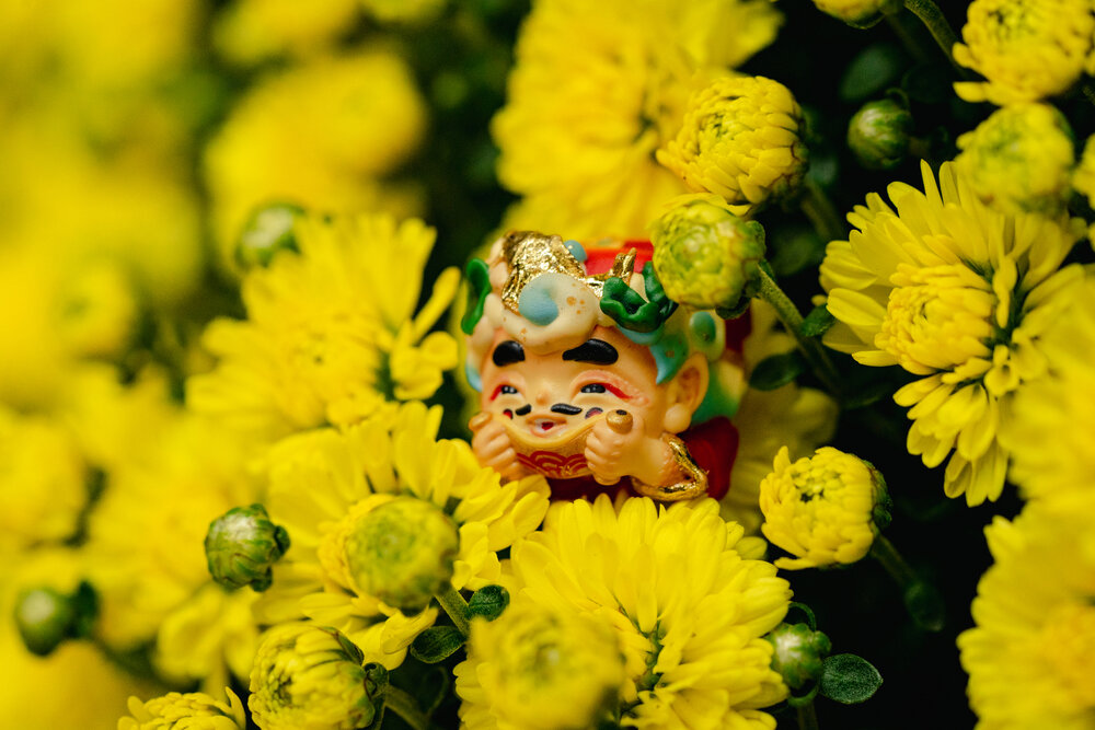 Photograph by Viet Nguyen