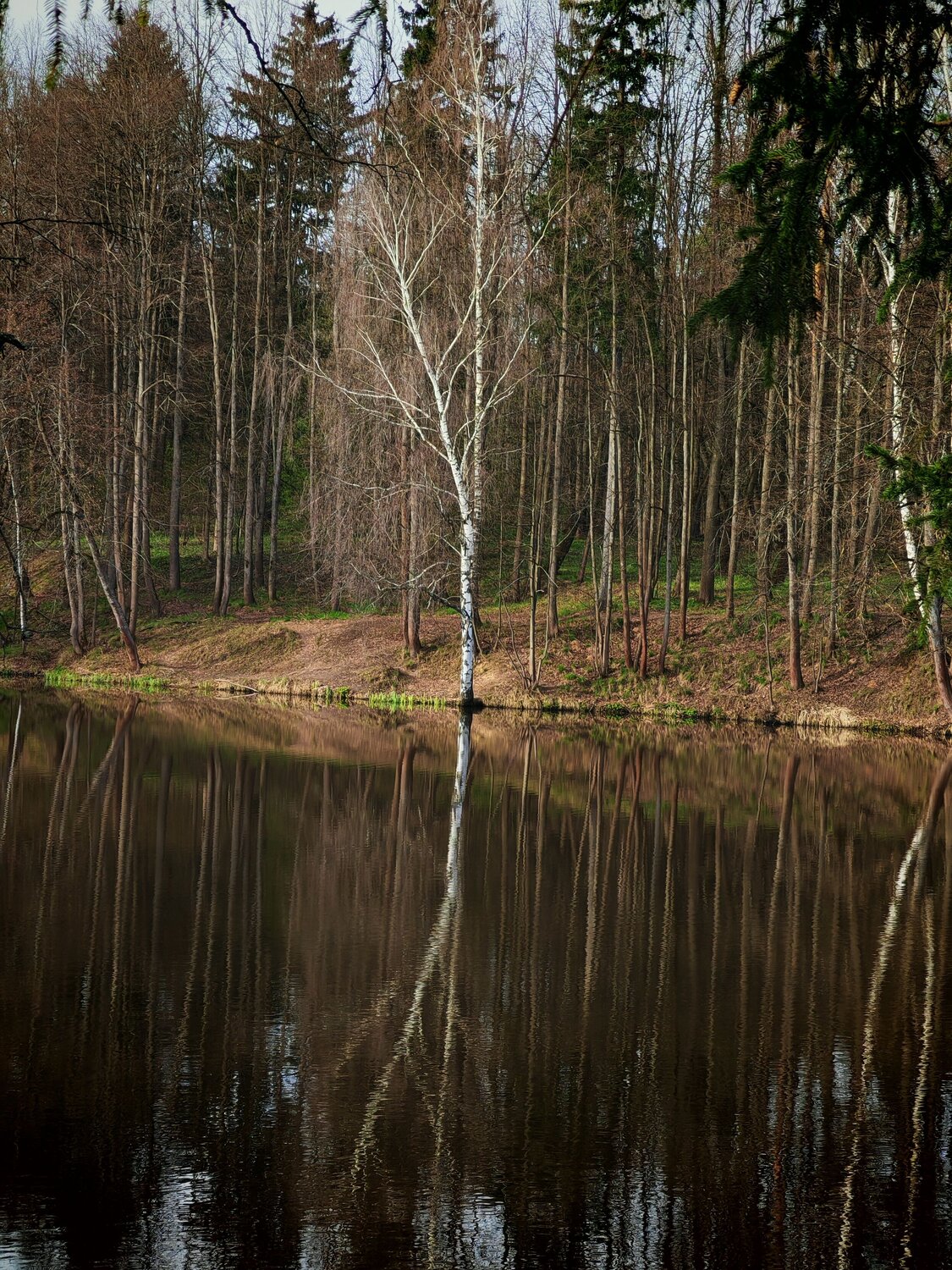 Photo #13840547