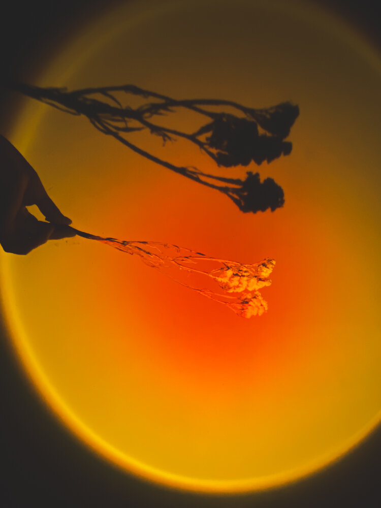 Photograph by Liliia Androsova