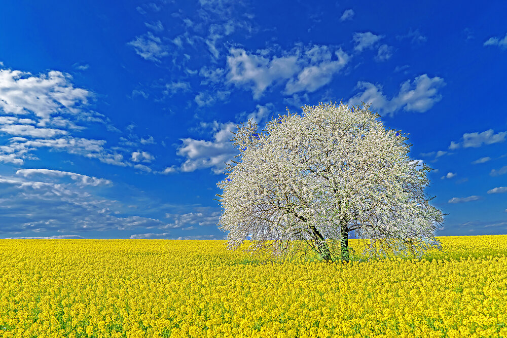 Photo #13840663