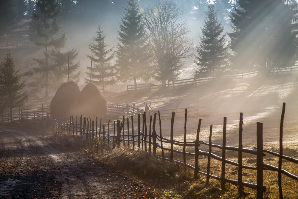 Photograph by Мурзинов Виктор