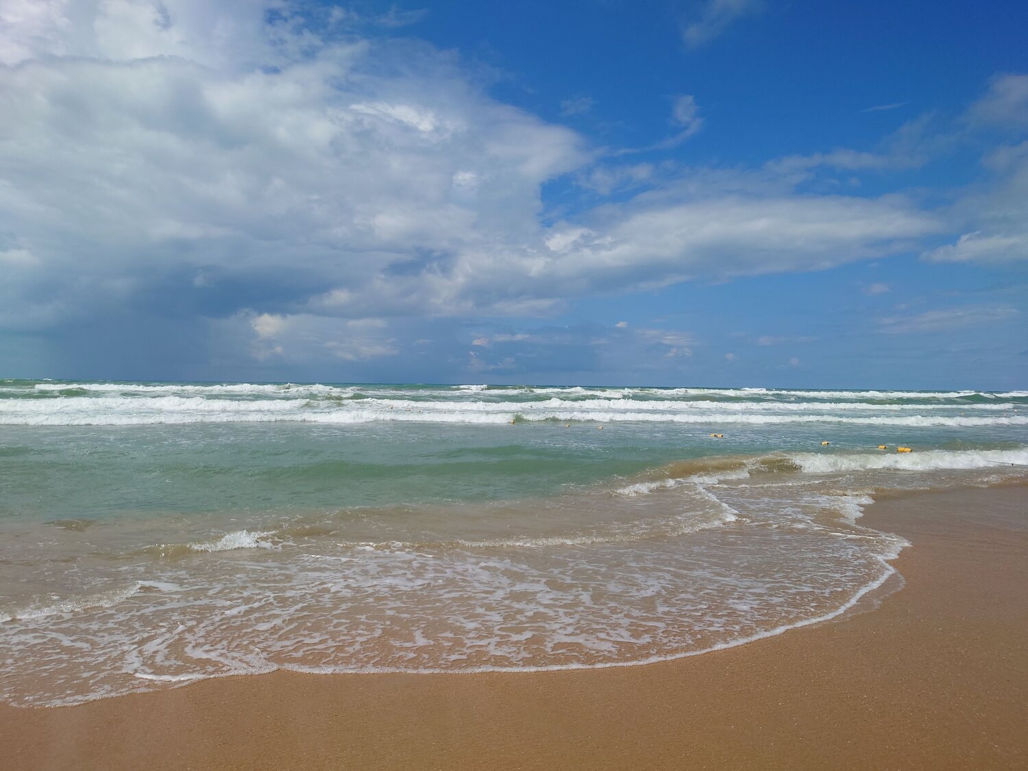 Photo #13840701