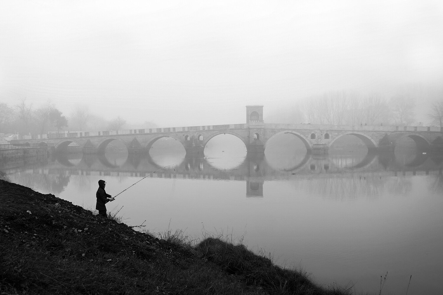 Photo #13840705