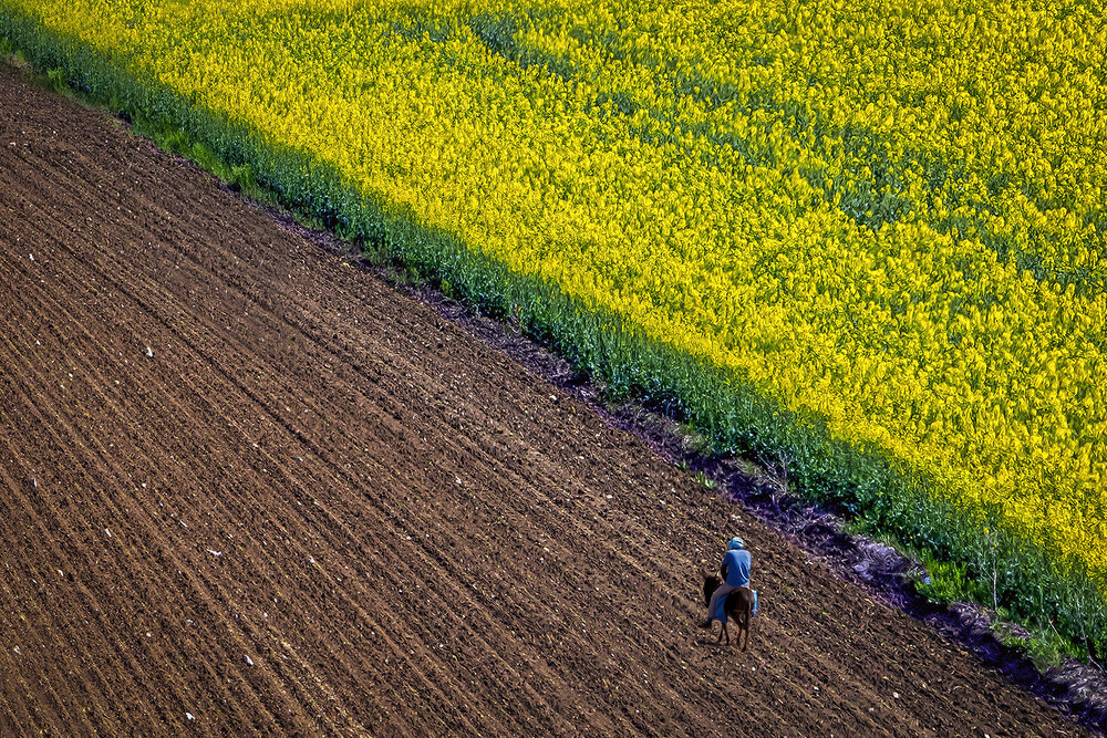 Photograph by Uğur kaygusuz