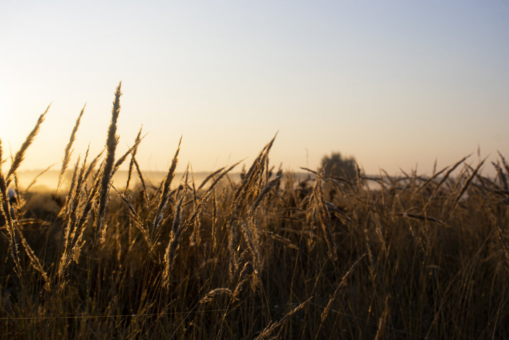 Photograph by Никита Михайлов