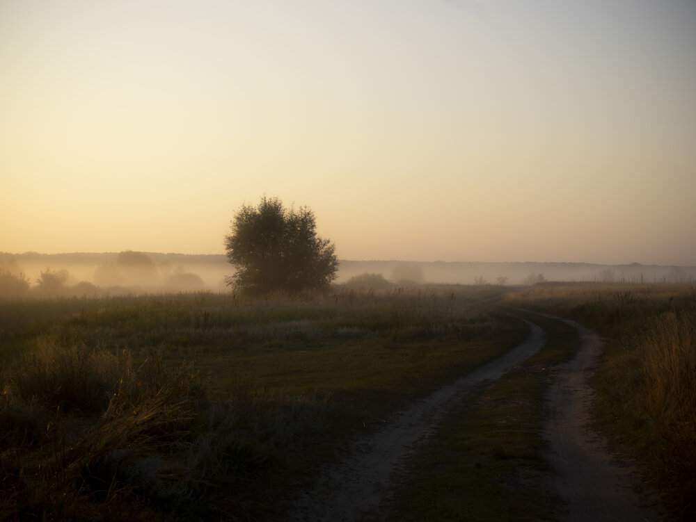 Photograph by Никита Михайлов