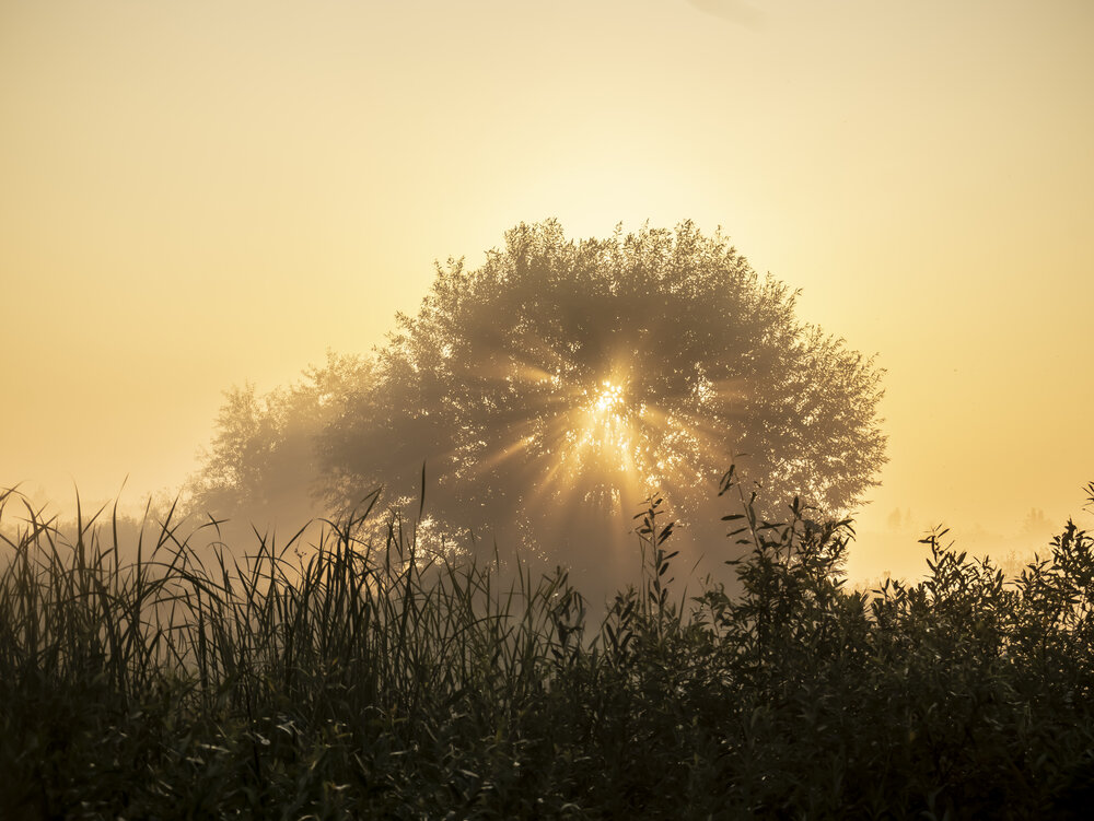 Photograph by Никита Михайлов