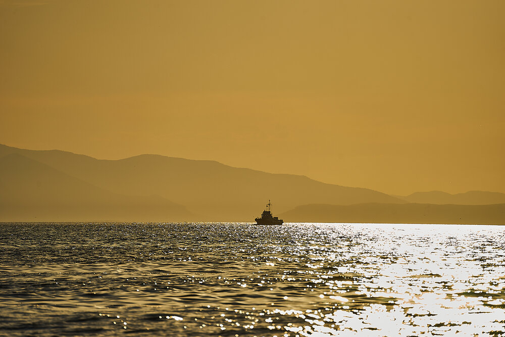 Photograph by Лариса Н
