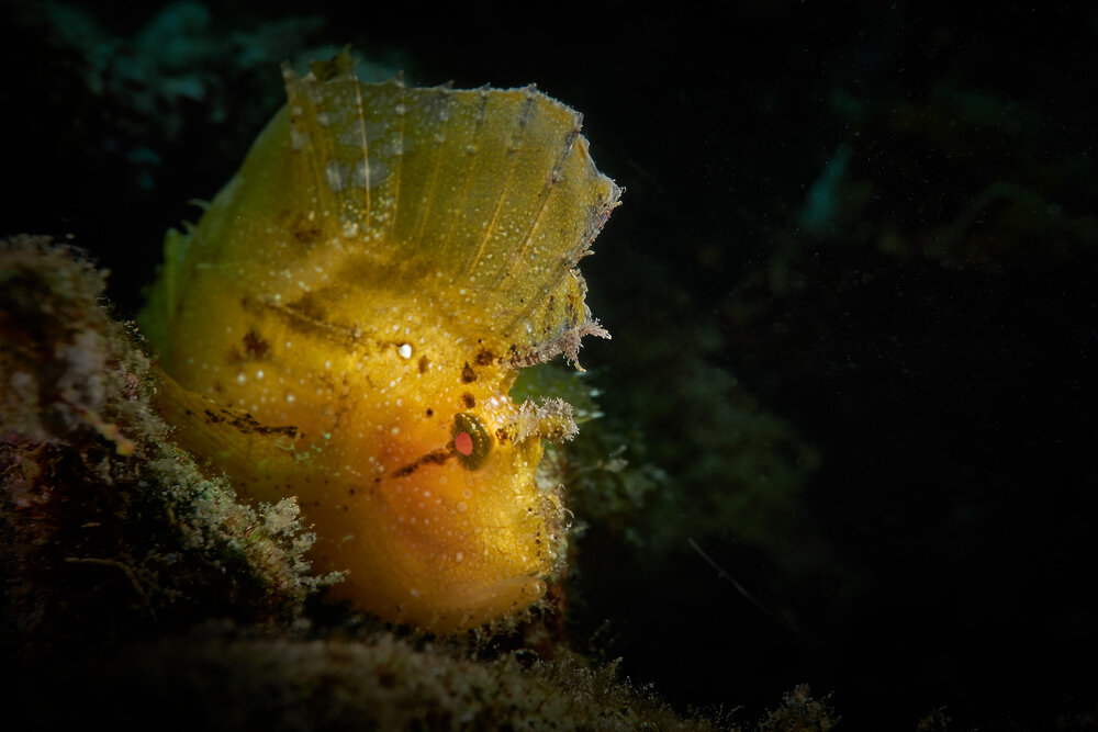 Photograph by Denis Timchenko