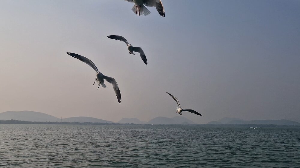 Photograph by Kaushik Mitra