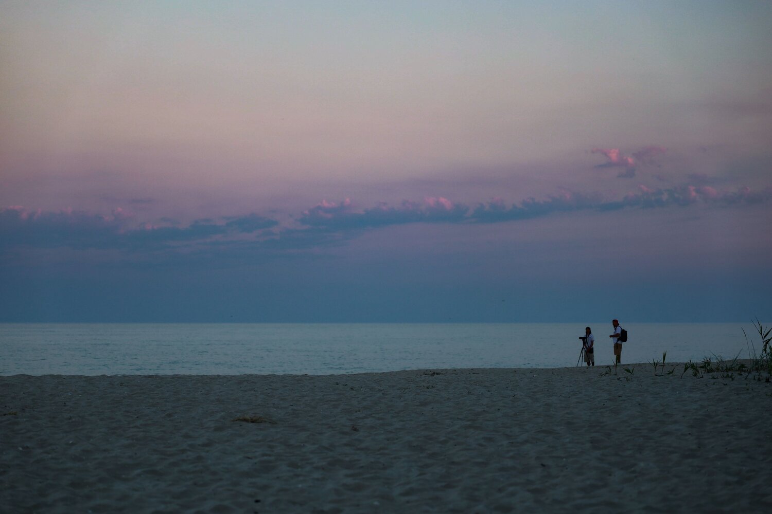 Photo #13840927