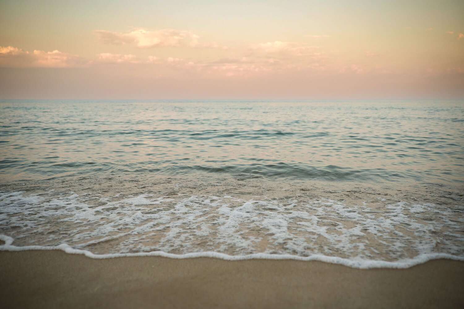Photo #13840929