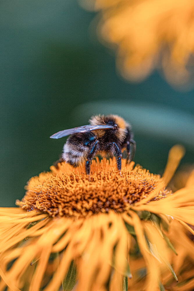 Photograph by Кольцова Мария