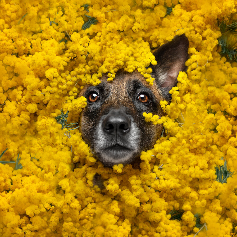 Photograph by Alessia Monaco