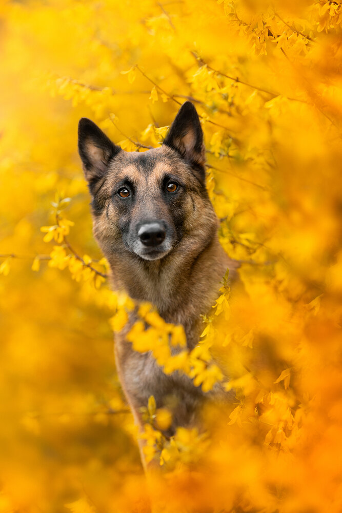 Photograph by Alessia Monaco