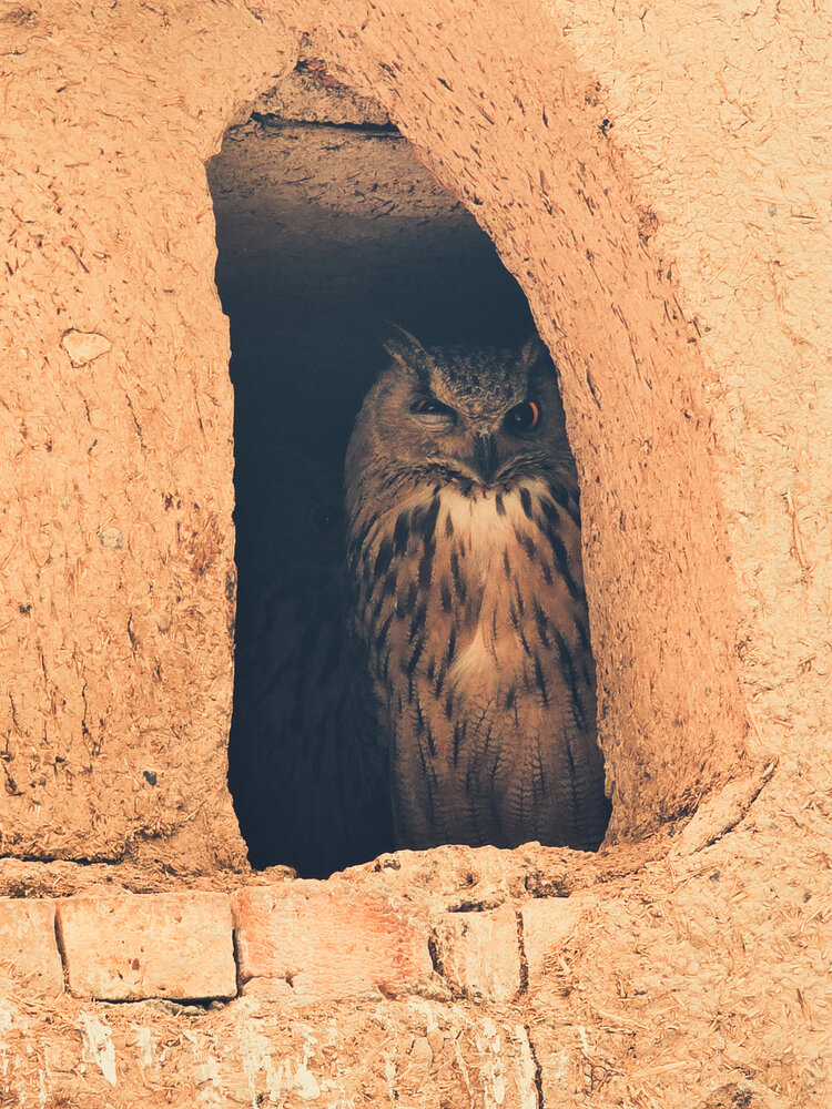 Photograph by Mohammad Hjn