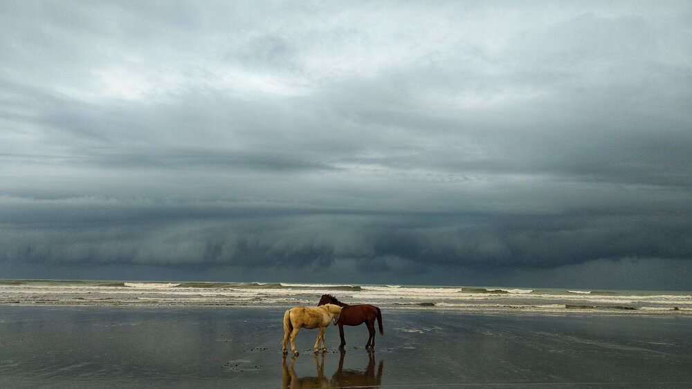 Together, even before the storm