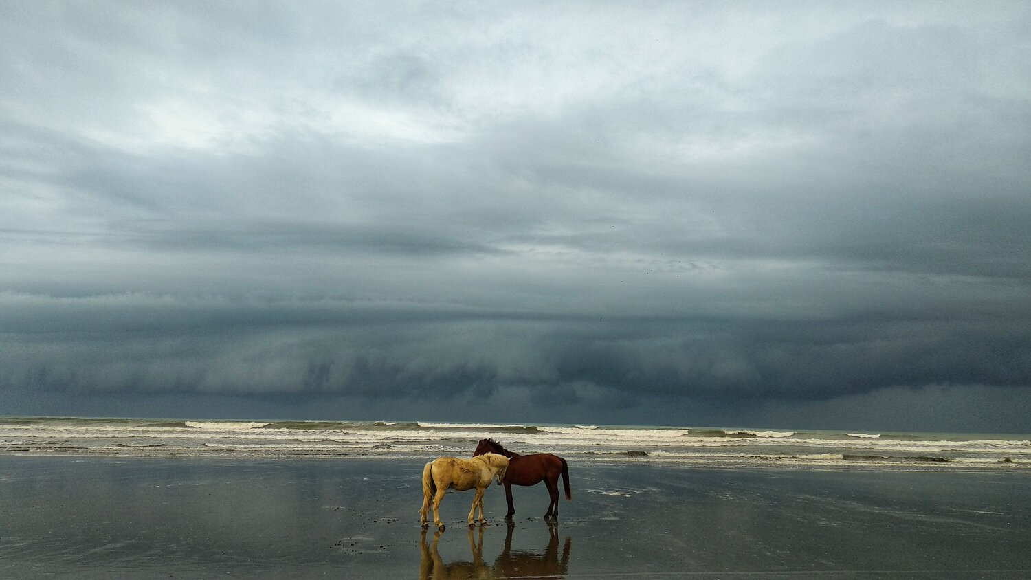 Together, even before the storm