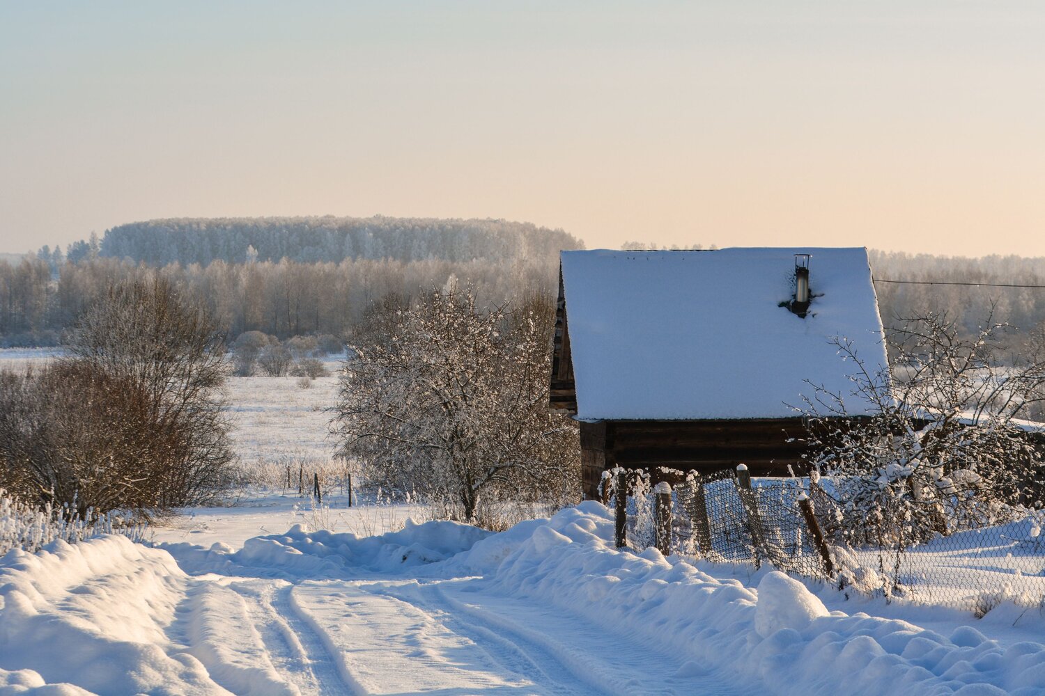 Photo #13841056