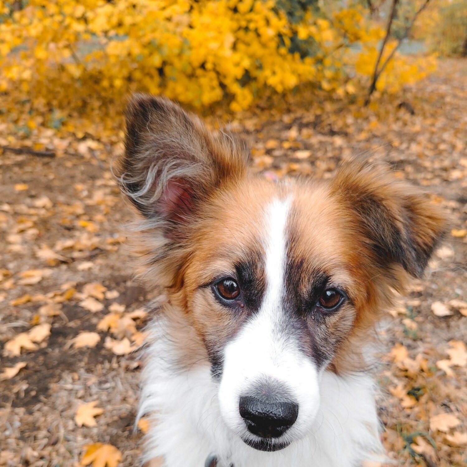 Photo #13841103