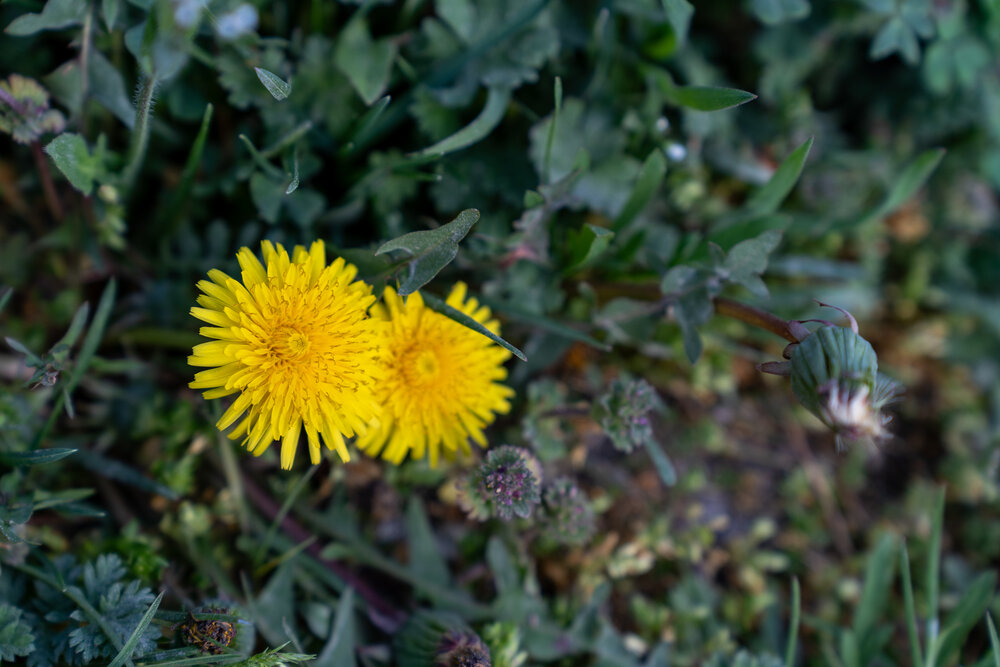 Photograph by Екатерина Ефанова