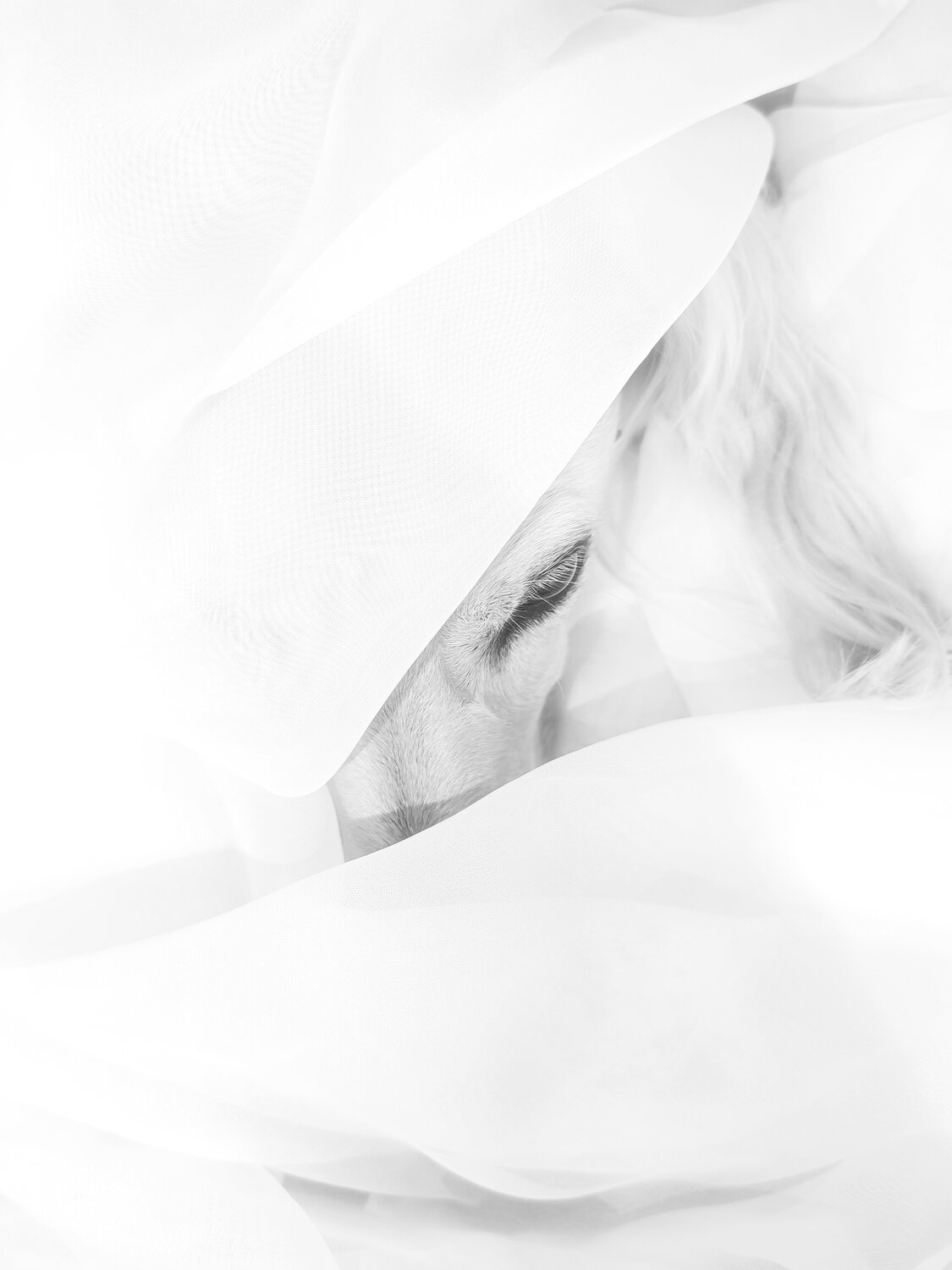 Photo #13841159