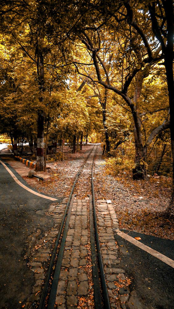 Photo #13841204