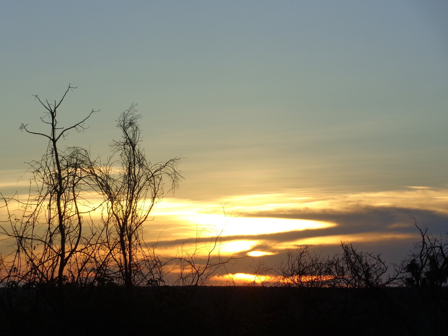 Photo #13841236